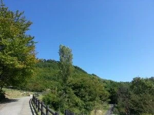 2014-09-27 09.40.01
